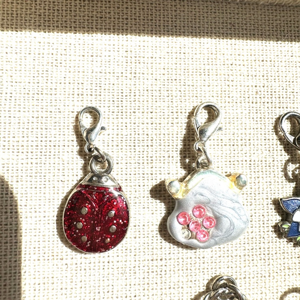 ↖️12 Charms: Bundle - Picture 7 of 8